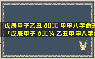 戊辰甲子乙丑 🐟 甲申八字命理「戊辰甲子 🌼 乙丑甲申八字命理解析」